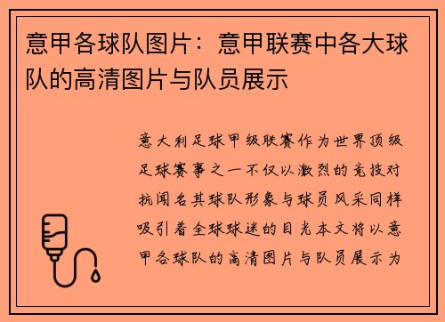 意甲各球队图片：意甲联赛中各大球队的高清图片与队员展示